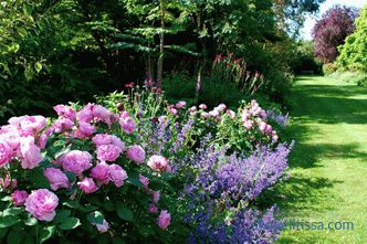 English garden - ten basic principles of its arrangement