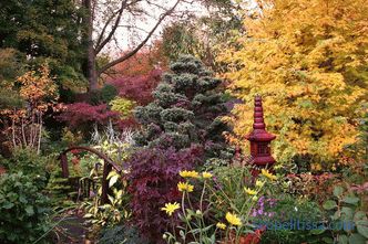 English garden - ten basic principles of its arrangement