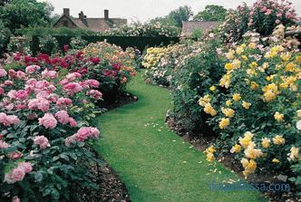English garden - ten basic principles of its arrangement