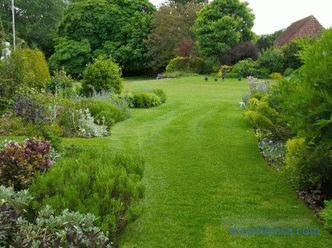 English garden - ten basic principles of its arrangement