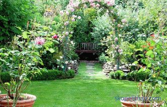 English garden - ten basic principles of its arrangement