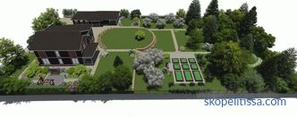 Landscaping of the site - photos of ready-made solutions for arranging the site in a country house