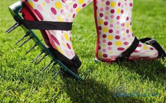 Lawn device: technology and rules of grooming