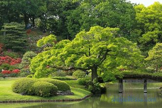 Japanese garden - principles and rules for creating style