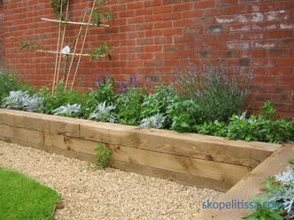 Border for flower beds - photo ideas, how to make a decorative fence for flowers