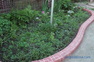 Border for flower beds - photo ideas, how to make a decorative fence for flowers