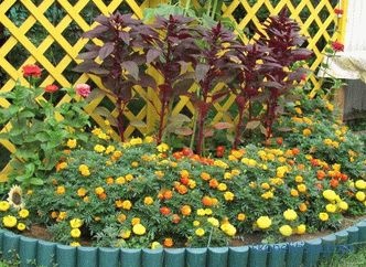 Border for flower beds - photo ideas, how to make a decorative fence for flowers