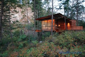 Cottage in a pine forest on a hillside in Montana