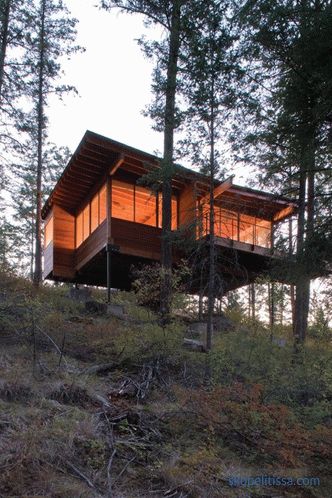 Cottage in a pine forest on a hillside in Montana