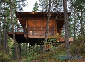 Cottage in a pine forest on a hillside in Montana