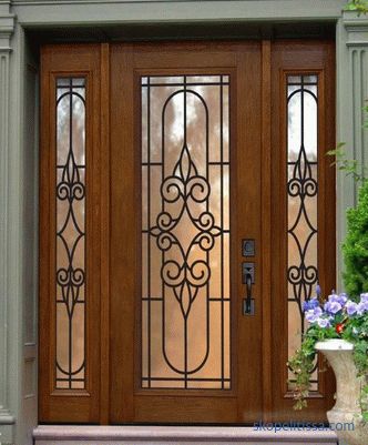 How to choose the best entrance door to a private house