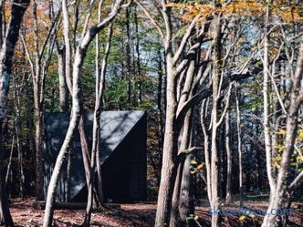 Crystal shaped miniature house in the forest of Lansville