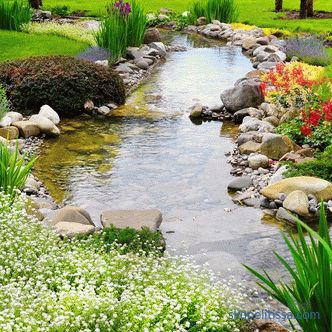 5 interesting ideas for a country landscape