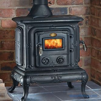Stoves fireplaces wood for a country house, prices in Moscow, description, how to choose, photo