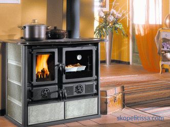 Stoves fireplaces wood for a country house, prices in Moscow, description, how to choose, photo