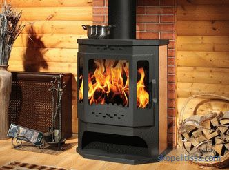 Stoves fireplaces wood for a country house, prices in Moscow, description, how to choose, photo