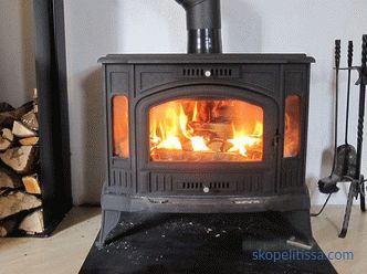 Stoves fireplaces wood for a country house, prices in Moscow, description, how to choose, photo