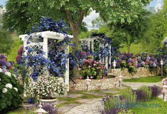 Provence style garden - the basic rules of formation