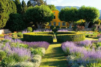 Provence style garden - the basic rules of formation