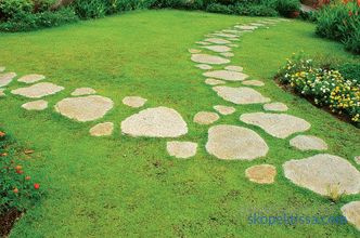 Popular materials for the garden path: advantages and disadvantages