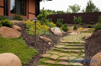 Stones in landscape design - scope