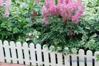 Decorative fences for flower beds - the best ideas from designers, photos, ideas