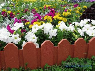 Decorative fences for flower beds - the best ideas from designers, photos, ideas