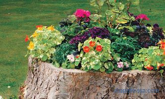 Decorative fences for flower beds - the best ideas from designers, photos, ideas