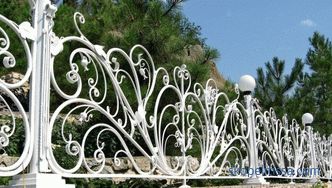 Decorative fences for flower beds - the best ideas from designers, photos, ideas