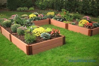 Decorative fences for flower beds - the best ideas from designers, photos, ideas