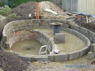 How to make a pond in the country - an artificial decorative pond in the garden and on the site, beautiful design of the pond, photo