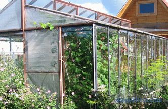 The glass greenhouse at the dacha, the types of glass greenhouses and the criteria for their selection