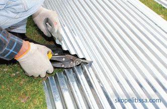 Self-tapping screws for a roof from a professional flooring - the scheme of fastening and an expense on 1 sq.m (a photo, video)