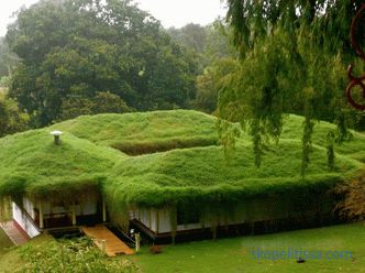 reasons for the popularity of high-rise gardens, types of roof gardens