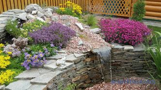 photos and basic recommendations for creating a beautiful garden