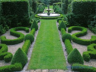 photos and basic recommendations for creating a beautiful garden