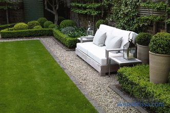 photos and basic recommendations for creating a beautiful garden