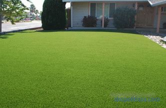 Artificial grass - buy artificial turf in rolls, the price of coverage in Moscow