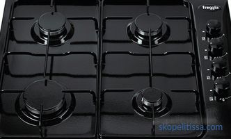 Gas stove to give a balloon: how to choose the perfect option