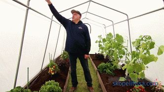 why choose greenhouses with lightning