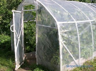 why choose greenhouses with lightning