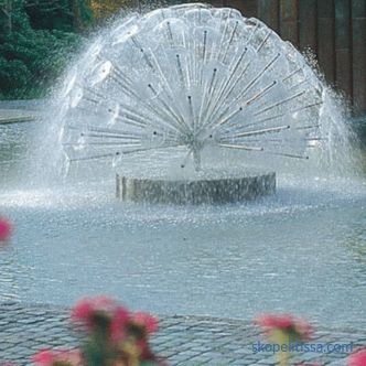 Fountains for a pond in the country, which one to choose and buy a fountain for a decorative garden pond in Moscow