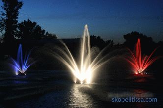 Fountains for a pond in the country, which one to choose and buy a fountain for a decorative garden pond in Moscow