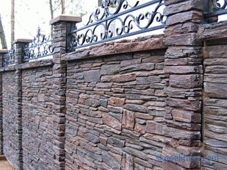 Beautiful fences for private houses: photos and creative ideas