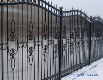 Beautiful fences for private houses: photos and creative ideas