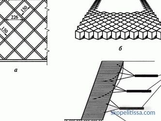 Geogrid for tracks in the country: types and installation technology