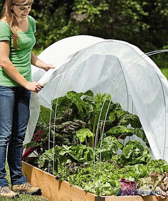 Home mini polycarbonate greenhouse, mini greenhouse for garden, photo and video