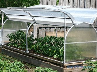 Home mini polycarbonate greenhouse, mini greenhouse for garden, photo and video
