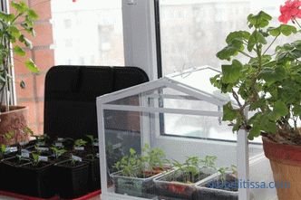 Home mini polycarbonate greenhouse, mini greenhouse for garden, photo and video