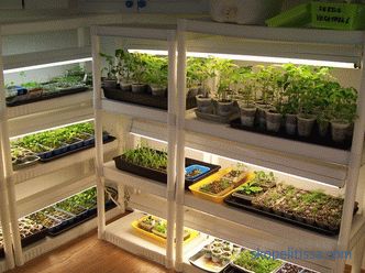 Home mini polycarbonate greenhouse, mini greenhouse for garden, photo and video